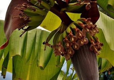 给老年人祝寿祝福语(推荐60句)