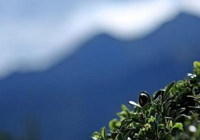 老人家的祝福语(必备70句)