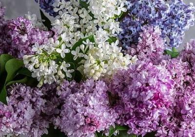 老人死了的祝福语(通用60句)