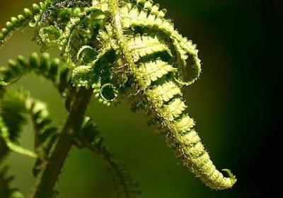 给舞蹈老师的祝福语(热门6句)