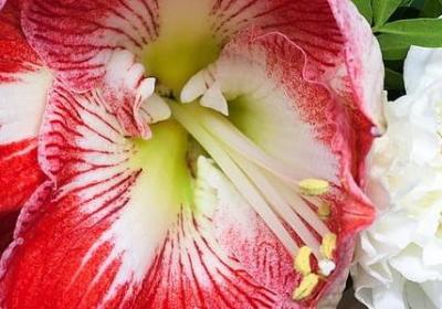 老人生病的祝福语(共50句)