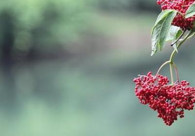 给生意人的祝福语(必备70句)