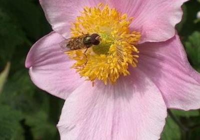 老师生病祝福语(合集40句)