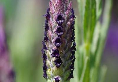 给银行的祝福语(合集40句) 给银行的祝福语(合集40句)