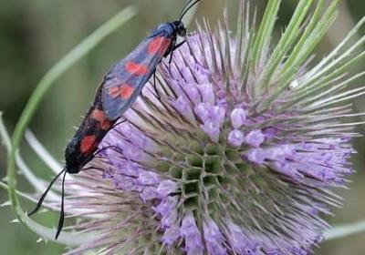 老人生日祝福语简短(合集80句) 老人生日祝福语简短(合集80句)