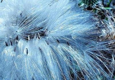 给母校的祝福语(共7句) 给母校的祝福语(共7句)