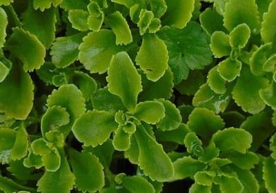 美女生日祝福语 简短(共60句) 美女生日祝福语 简短(共60句)