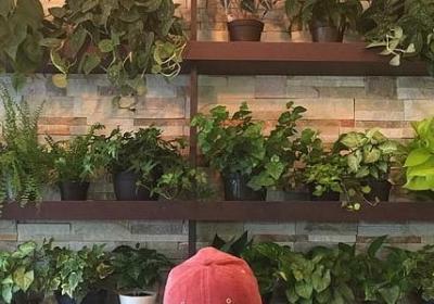 给老公的生日祝福语简短(推荐60句) 给老公的生日祝福语简短(推荐60句)