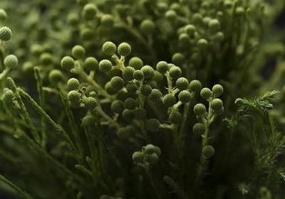 给爸生日祝福语(实用50句) 给爸生日祝福语(实用50句)