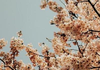 给老公生日蛋糕祝福语(优选50句) 给老公生日蛋糕祝福语(优选50句)