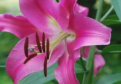 老公生日写什么祝福语(推荐6句) 老公生日写什么祝福语(推荐6句)