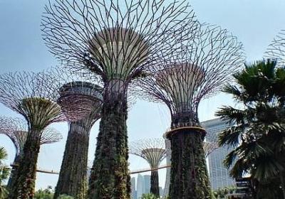 给闺蜜的婚礼祝福语(精选40句) 给闺蜜的婚礼祝福语(精选40句)