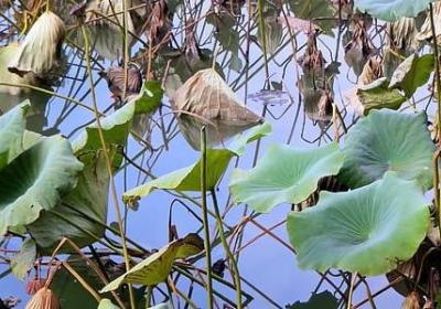给运动员加油的祝福语(推荐80句) 给运动员加油的祝福语(推荐80句)