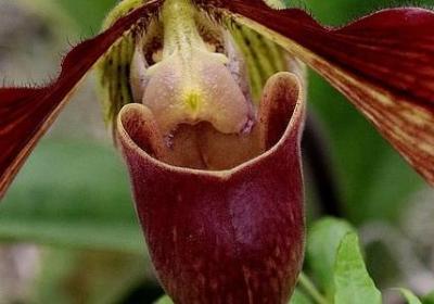 给自闭症儿童的祝福语(必备50句) 给自闭症儿童的祝福语(必备50句)