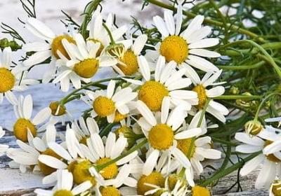 给男朋友生日祝福语(推荐44句)