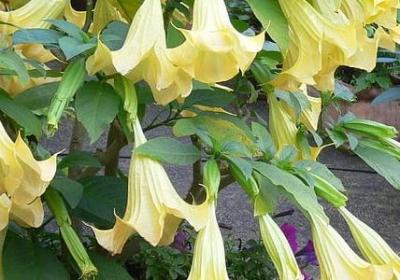 老师对学生的生日祝福语(必备48句)