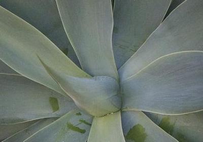 给自己过生日的祝福语(必备60句)