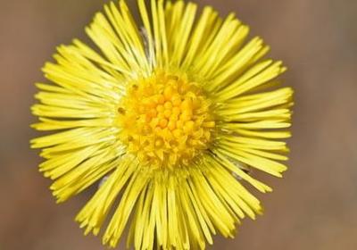 给长辈生日祝福语简短(优选50句)