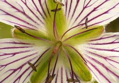 老师得奖了祝福语(60句)