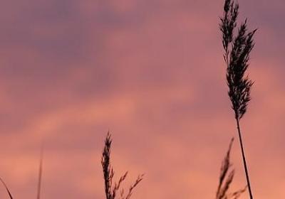 美女的生日祝福语(优选60句)