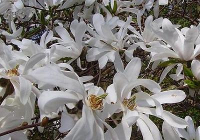 老人过生祝福语(60句)