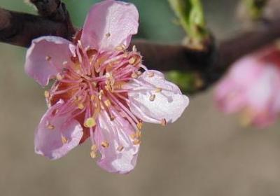 老人生日贺卡祝福语(38句)