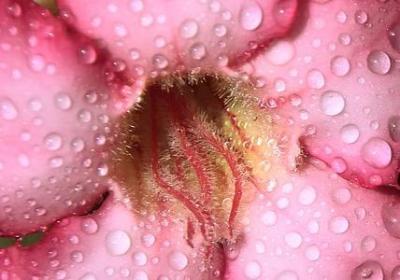 给老板生意上的祝福语(推荐60句)