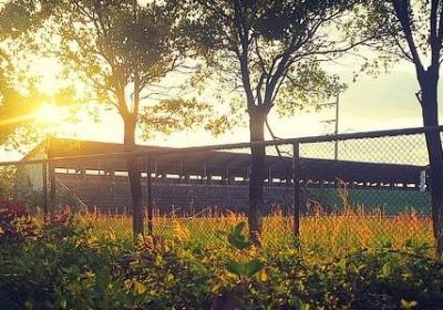 给跑马拉松的祝福语(合集50句)