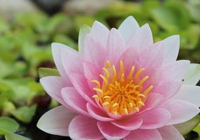 给老婆过生日的祝福语(精选60句)