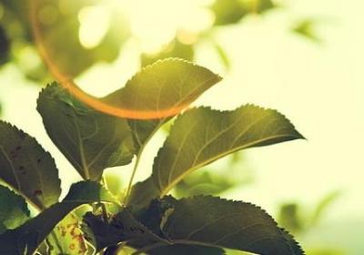 给老板的祝福语(通用50句)