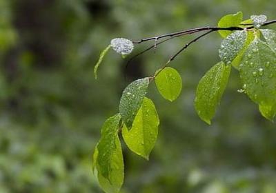 给爷爷的祝福语(优选69句)