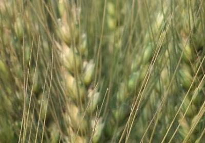 给老年人的生日祝福语(精选60句)