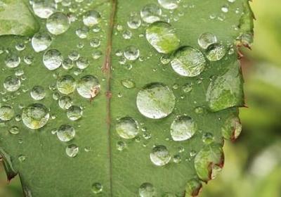 老同学结婚祝福语(汇总40句)