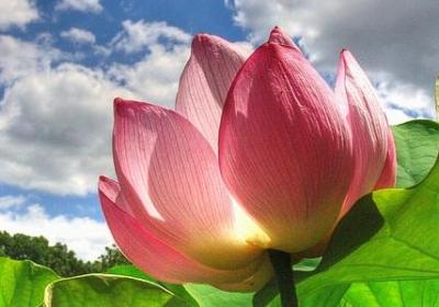 给老公过生日的祝福语(热门40句)