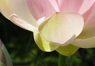 老同学孩子结婚祝福语(实用60句)