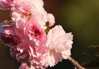 给老朋友的生日祝福语(热门40句)