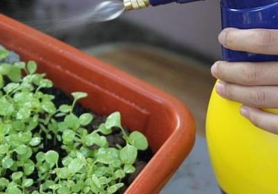 给爸妈的生日祝福语(汇总40句)