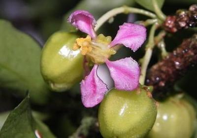 老公生日祝福语幽默(实用10句)