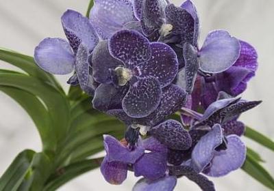 给舅舅生日祝福语简短(汇总40句)