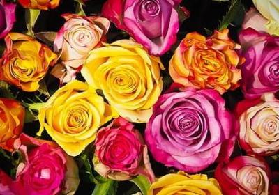 给未出生宝宝的祝福语(优选40句)