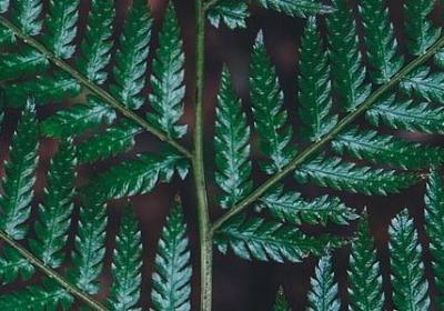 给画家的祝福语(共50句)