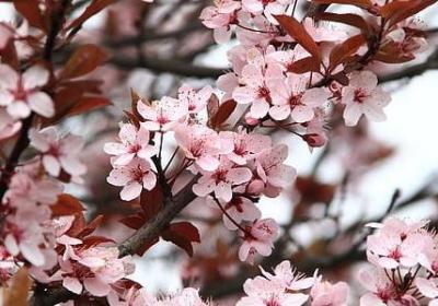 给班主任的生日祝福语(优选60句)