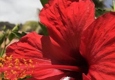 给环卫工人的祝福语(实用50句)