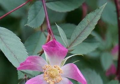 给毕业学生的祝福语(推荐50句)