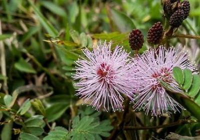 老师60大寿祝福语(40句)