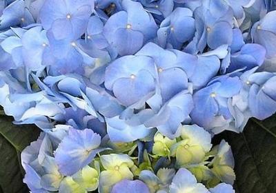 老师离职祝福语(40句)