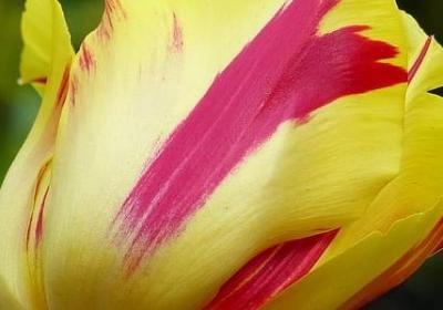 给老公生日的祝福语(精选59句)