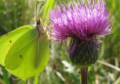 老公生日祝福语(精选50句)