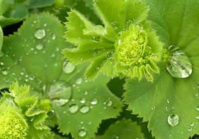 老师生日快乐祝福语(推荐40句)