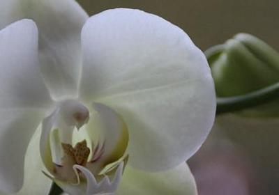 给老人过寿的祝福语(汇总60句)